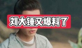 刘大锤爆料真实的视频,揭秘真实视频背后的惊人真相